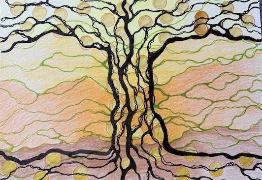 NeuroArbre, le Ginkgo