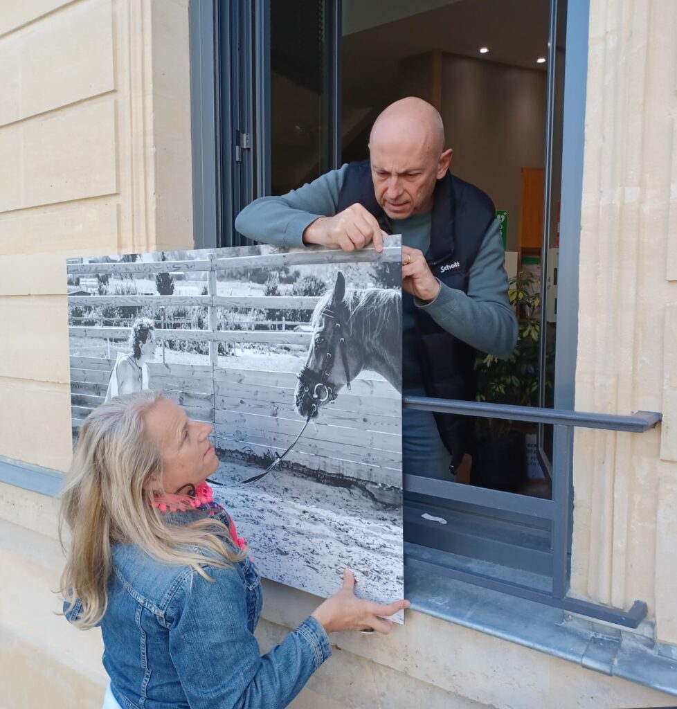 Accrochage Exposition Cicatrices - Association HOpe - Hotel de Ville - Houilles