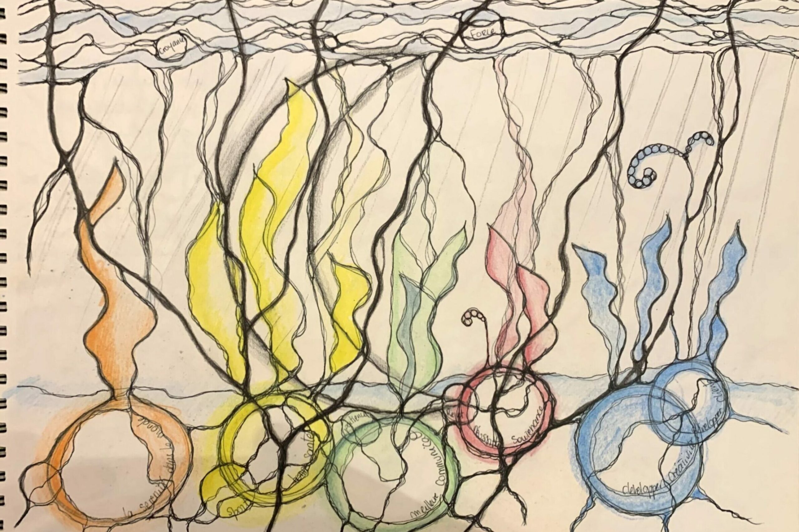 Dessin Neurographica®, d'après l'algorithme "Pluie chamanisme", réalisé en atelier en ligne